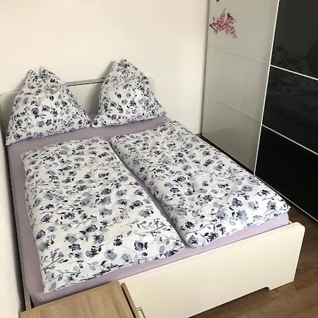Janson Appartement Wiesenbach